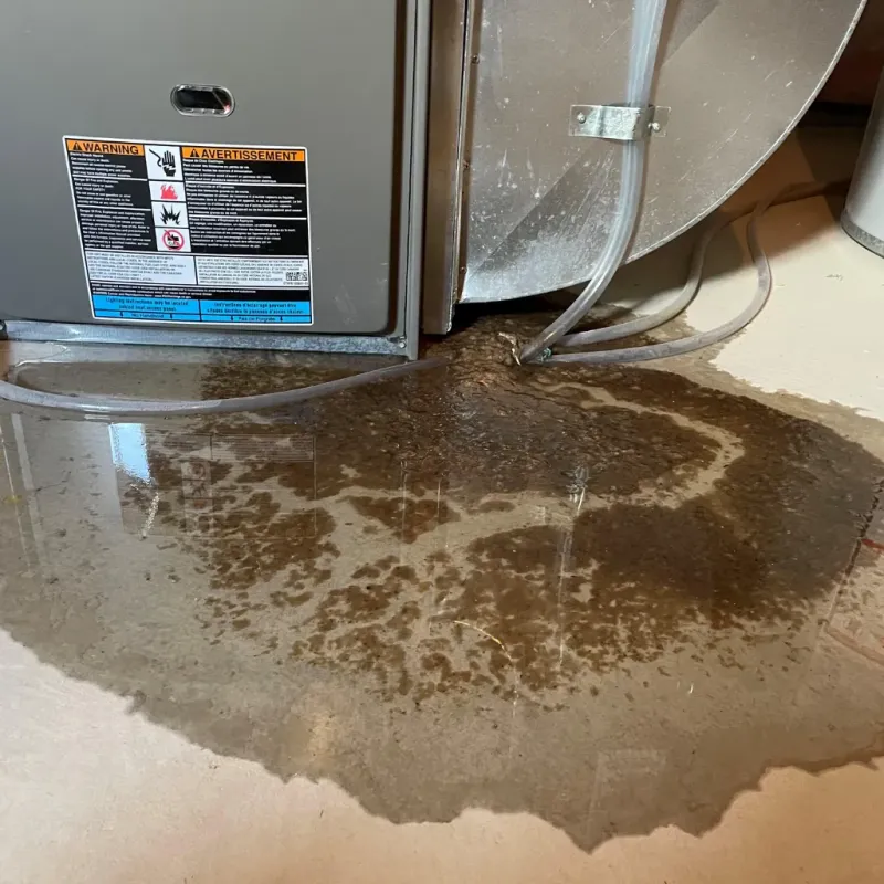 Appliance Leak Cleanup in Pupukea, HI