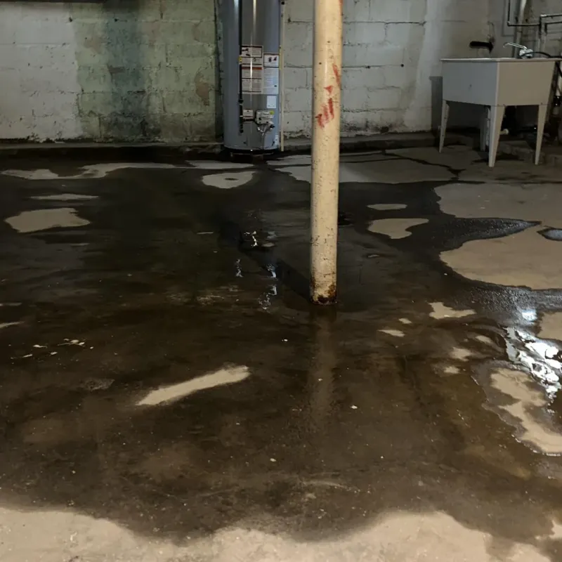 Emergency Water Extraction And Removal in Pupukea, HI